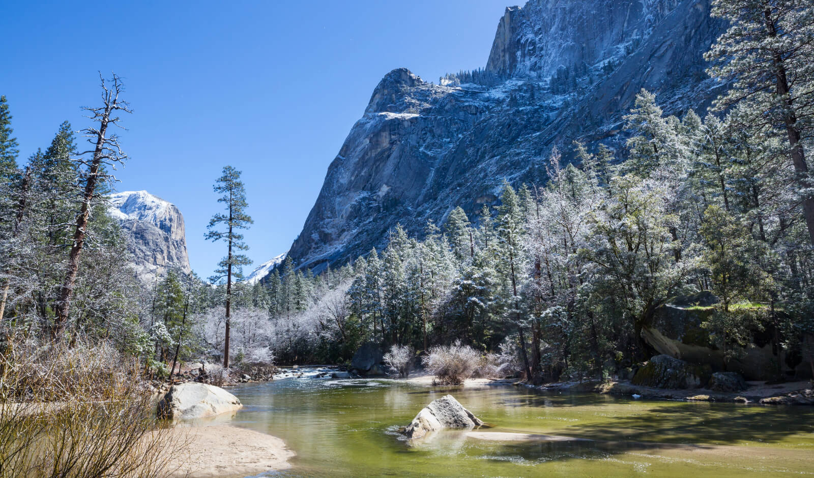 米・水・人 100%カリフォルニア産 〜カリフォルニアテロワール〜